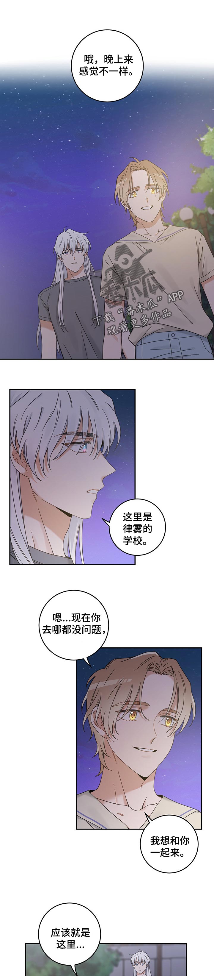 《亲爱的喵君》漫画最新章节第117章我唯一的猫【完结】免费下拉式在线观看章节第【5】张图片