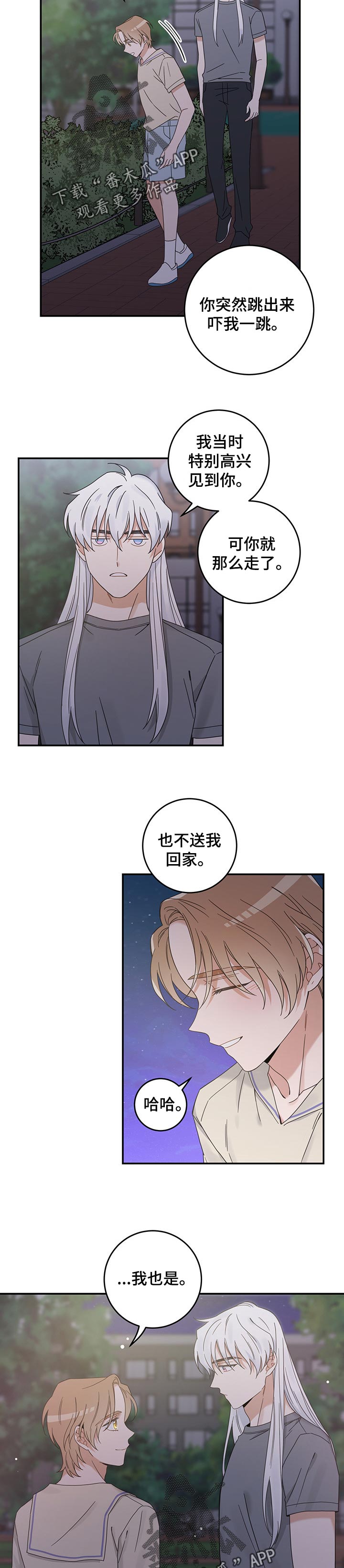 《亲爱的喵君》漫画最新章节第117章我唯一的猫【完结】免费下拉式在线观看章节第【4】张图片