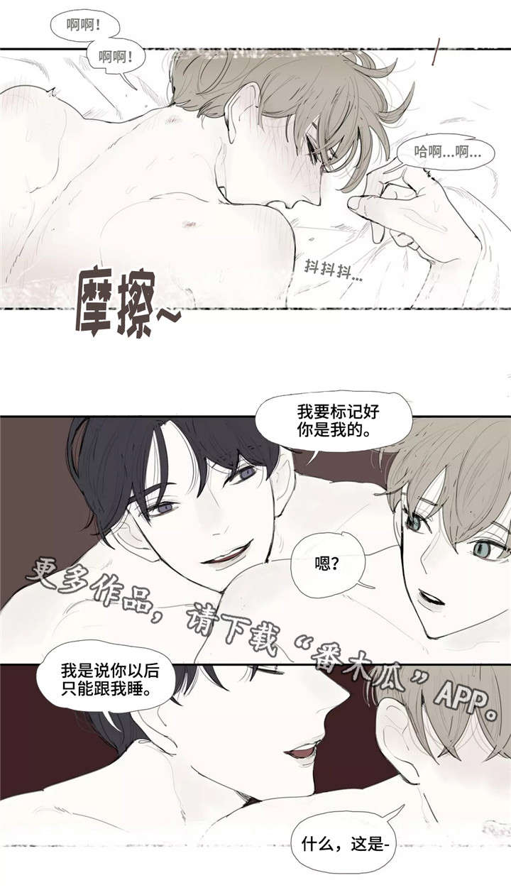 《失忆凶杀》漫画最新章节第4章照片免费下拉式在线观看章节第【3】张图片