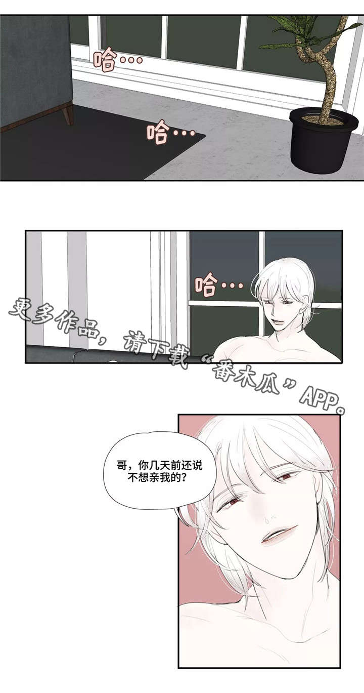 《失忆凶杀》漫画最新章节第28章欺骗免费下拉式在线观看章节第【8】张图片