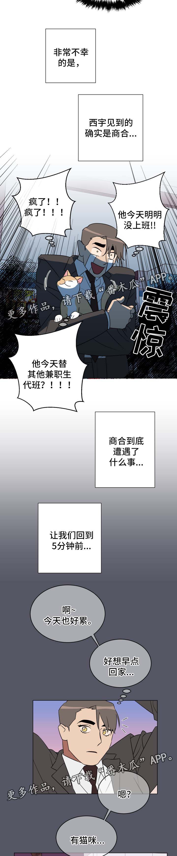 《年下策略》漫画最新章节第30章喂猫免费下拉式在线观看章节第【5】张图片