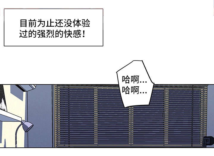 《契合》漫画最新章节第17章没体验过免费下拉式在线观看章节第【1】张图片