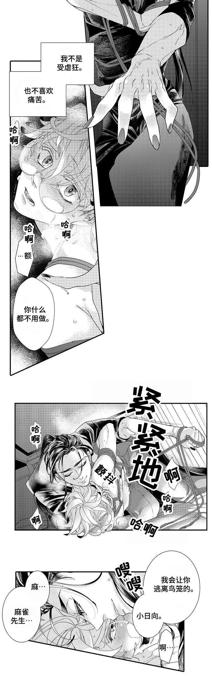 《绳之契约》漫画最新章节第1章小日向免费下拉式在线观看章节第【13】张图片