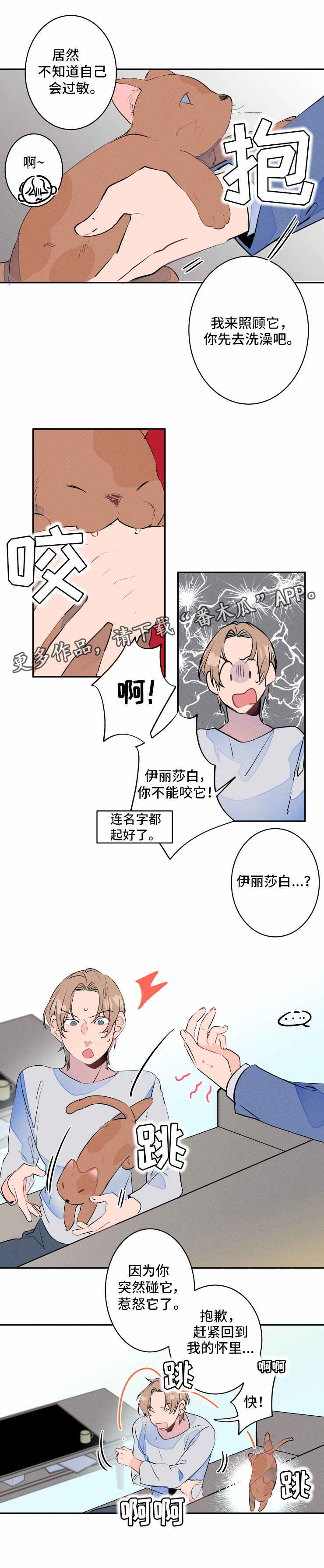 《结婚合约》漫画最新章节第13章过敏免费下拉式在线观看章节第【1】张图片