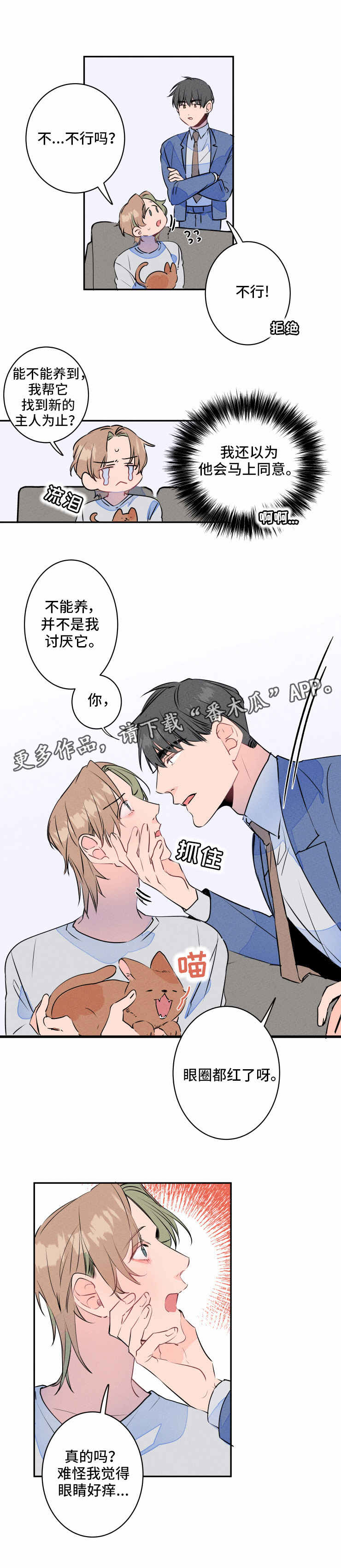 《结婚合约》漫画最新章节第13章过敏免费下拉式在线观看章节第【2】张图片