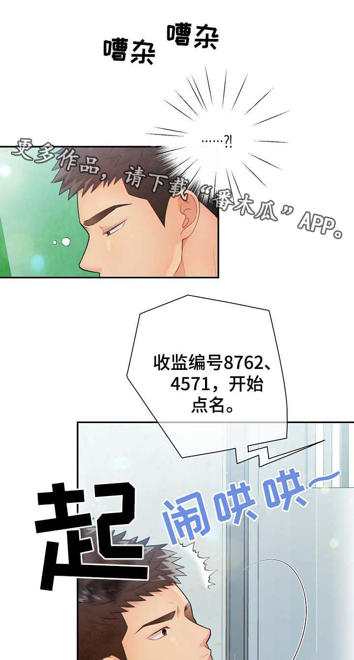 《阿尔法监狱》漫画最新章节第39章麻烦精免费下拉式在线观看章节第【18】张图片