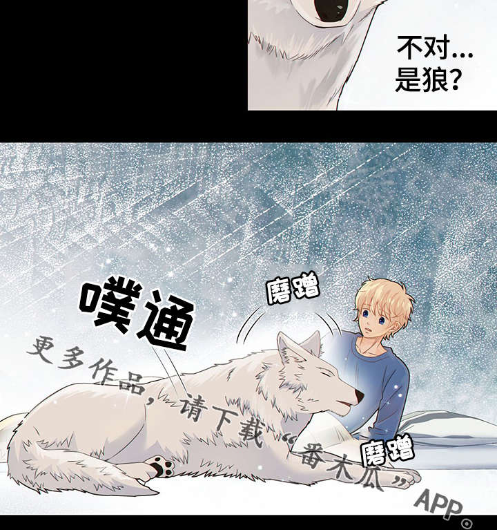 《阿尔法监狱》漫画最新章节第42章梦话免费下拉式在线观看章节第【18】张图片