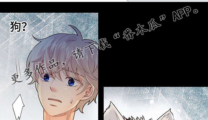 《阿尔法监狱》漫画最新章节第42章梦话免费下拉式在线观看章节第【20】张图片