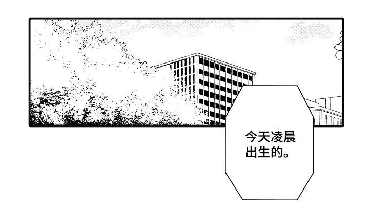 《花落》漫画最新章节第1章同事免费下拉式在线观看章节第【10】张图片