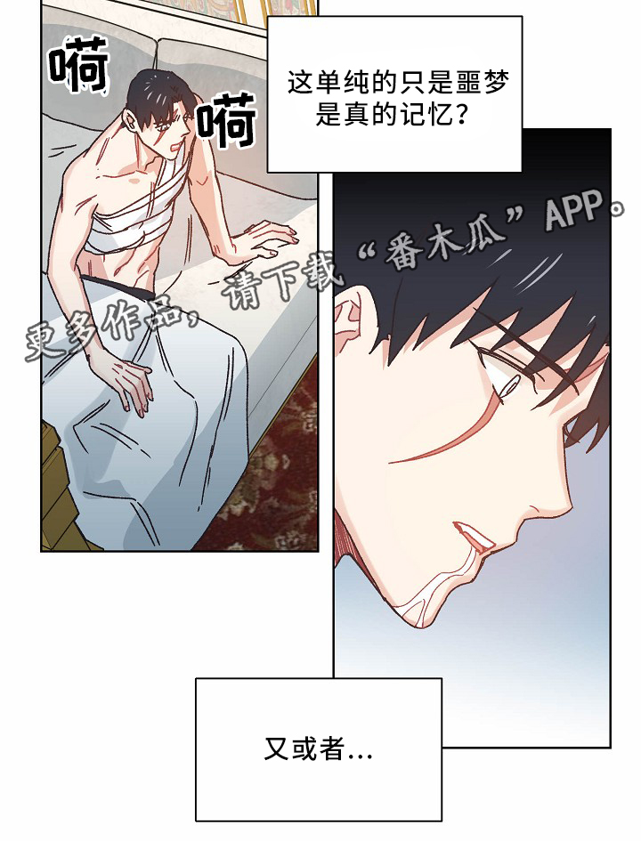 《破碎的记忆》漫画最新章节第36章记忆免费下拉式在线观看章节第【24】张图片