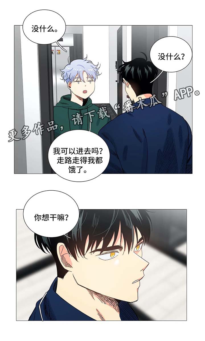 《固执爱人》漫画最新章节第43章淤青免费下拉式在线观看章节第【6】张图片