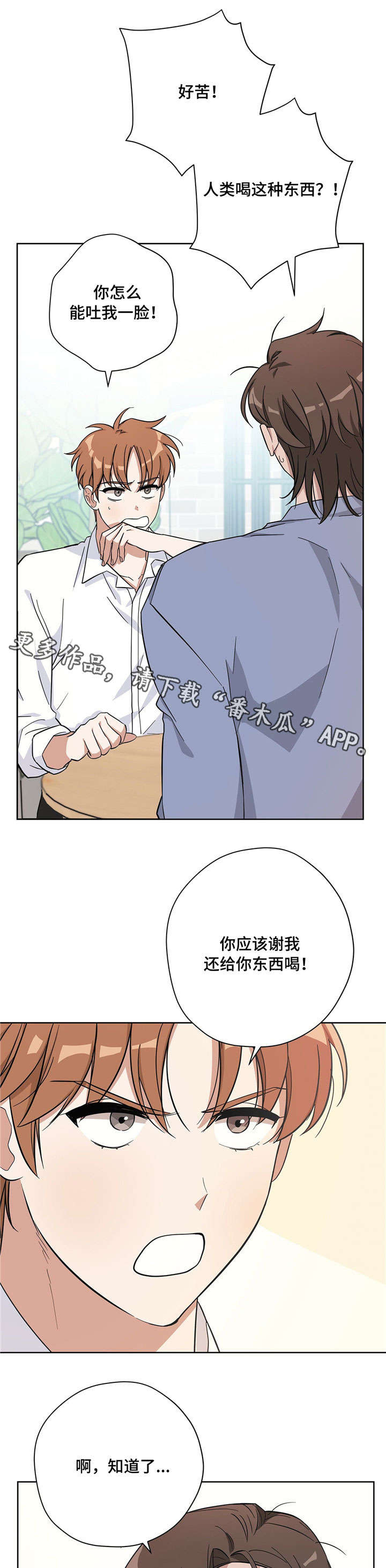 《逃婚王子》漫画最新章节第19章得心应手免费下拉式在线观看章节第【12】张图片