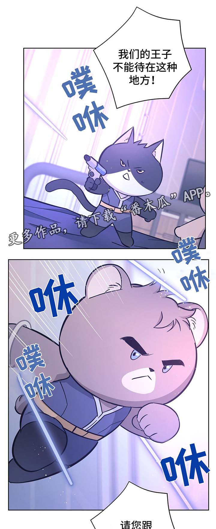 《逃婚王子》漫画最新章节第31章结婚免费下拉式在线观看章节第【14】张图片