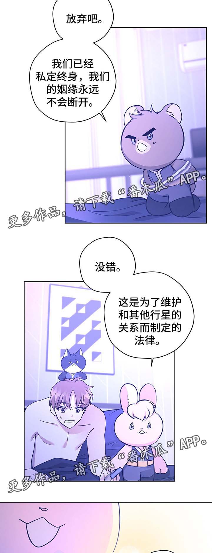 《逃婚王子》漫画最新章节第32章不想失去你免费下拉式在线观看章节第【17】张图片