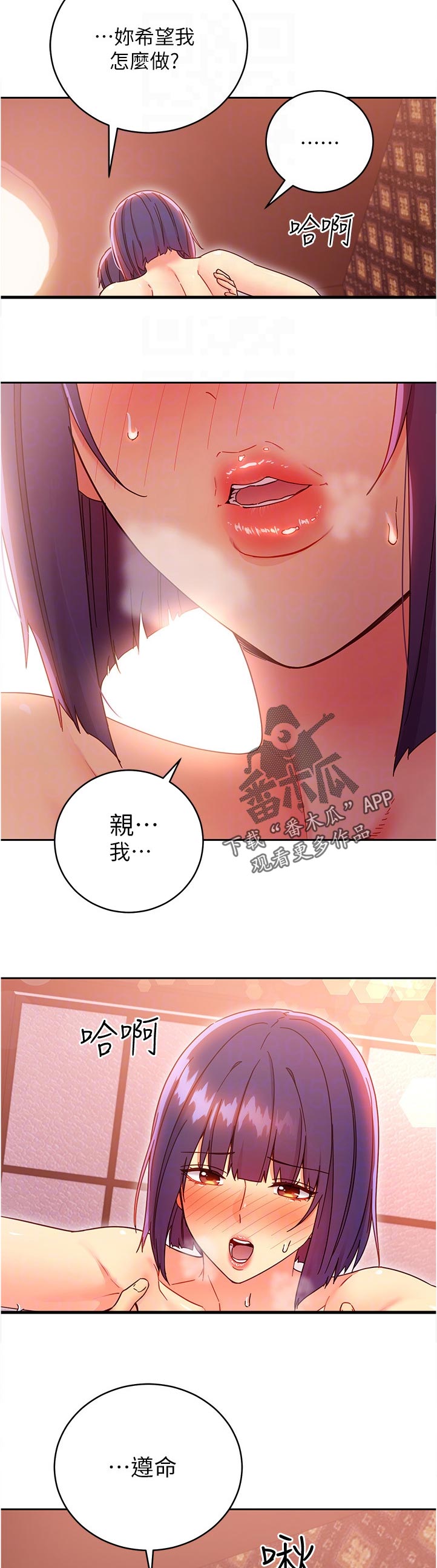 《网络因缘》漫画最新章节第164章接下来免费下拉式在线观看章节第【5】张图片