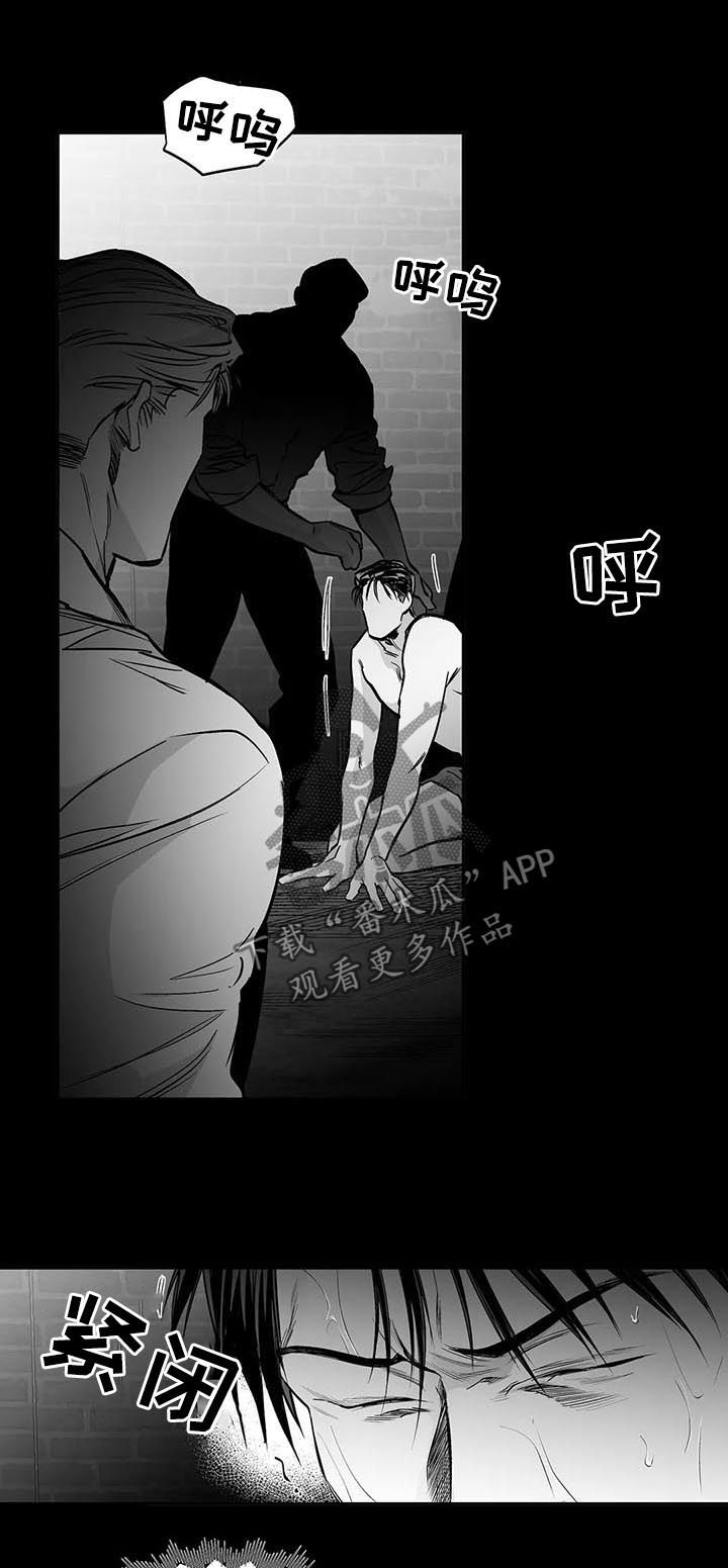 拳击手-第123章【第二季】威胁全彩韩漫标签