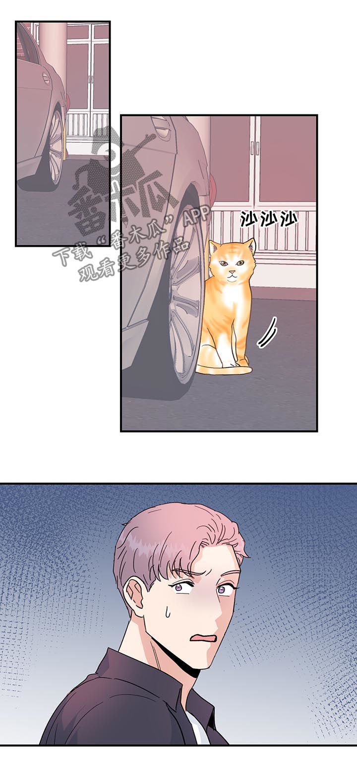 《年下老相好》漫画最新章节第36章是错觉吗？免费下拉式在线观看章节第【2】张图片