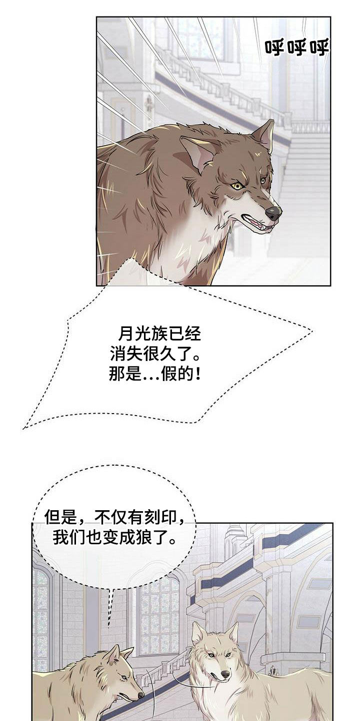 狼王子-第138章【第二季】对话全彩韩漫标签