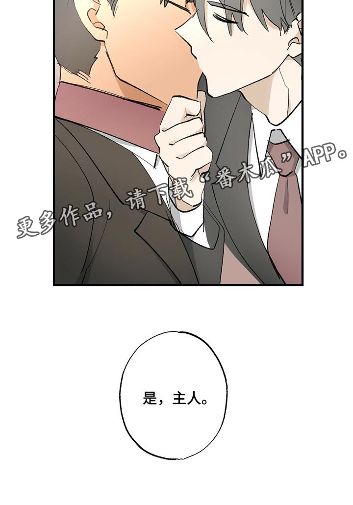 《专属欧米伽》漫画最新章节第61章【故事四】不要逃跑免费下拉式在线观看章节第【1】张图片