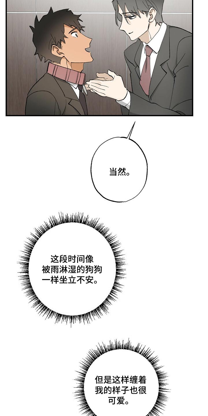 《专属欧米伽》漫画最新章节第61章【故事四】不要逃跑免费下拉式在线观看章节第【4】张图片