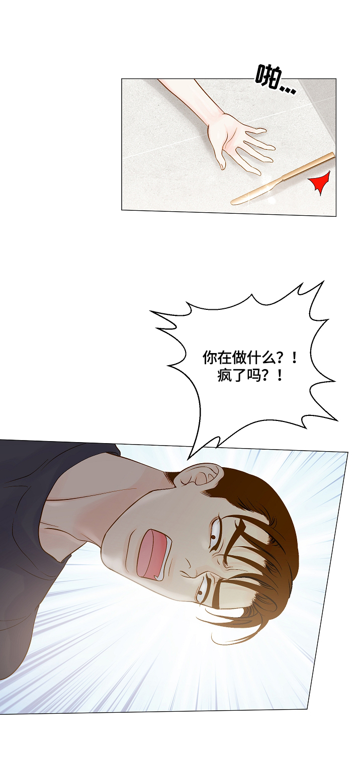 《王子的使命》漫画最新章节第5章很喜欢免费下拉式在线观看章节第【9】张图片