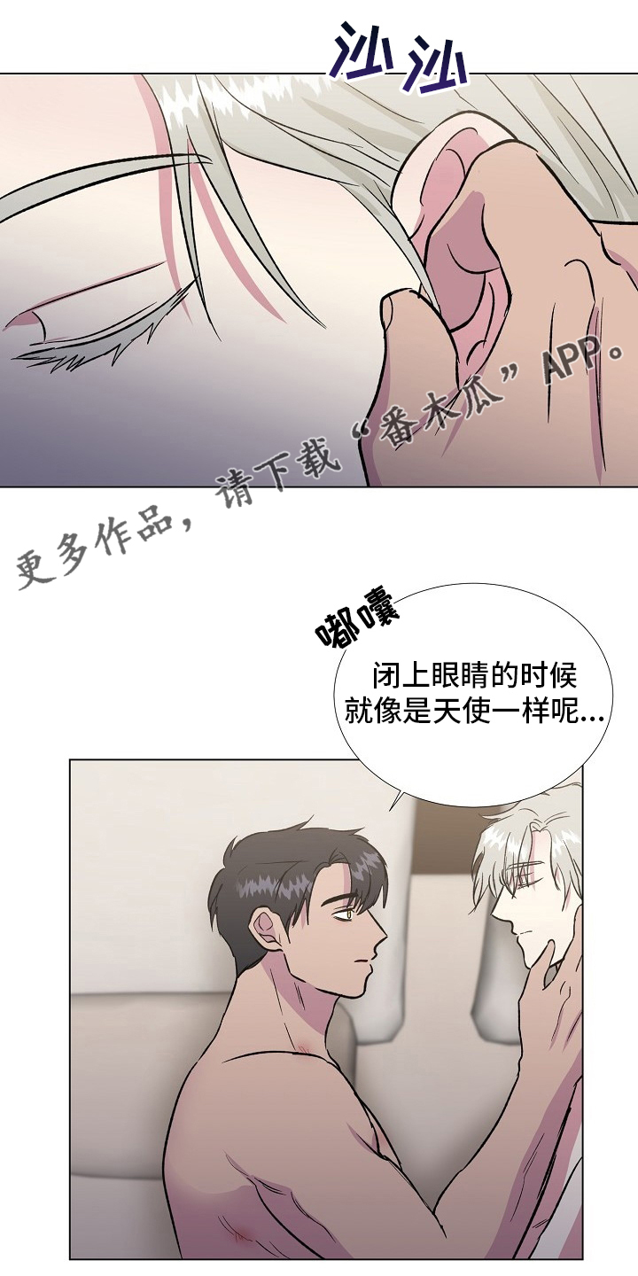 《爱的魔力》漫画最新章节第71章【完结】决定免费下拉式在线观看章节第【19】张图片