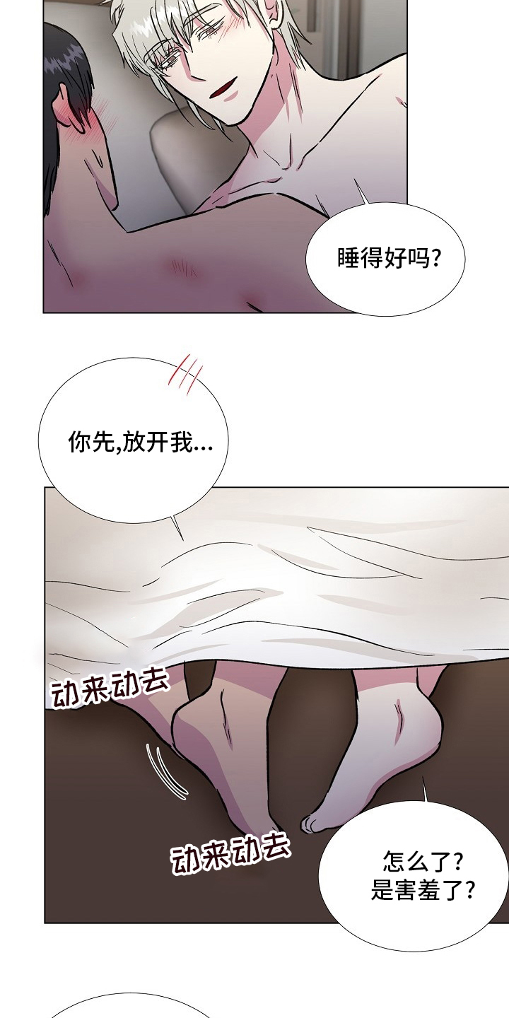 《爱的魔力》漫画最新章节第71章【完结】决定免费下拉式在线观看章节第【16】张图片