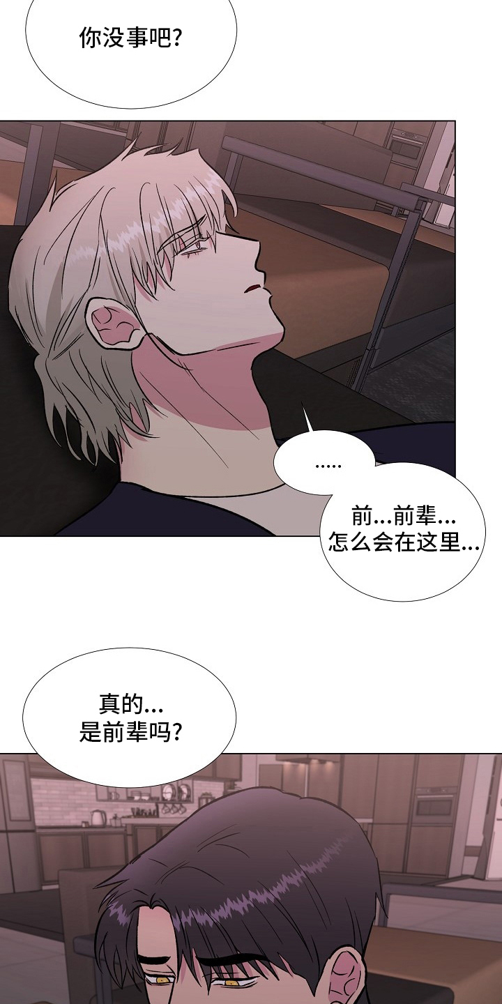 《爱的魔力》漫画最新章节第66章记挂免费下拉式在线观看章节第【15】张图片