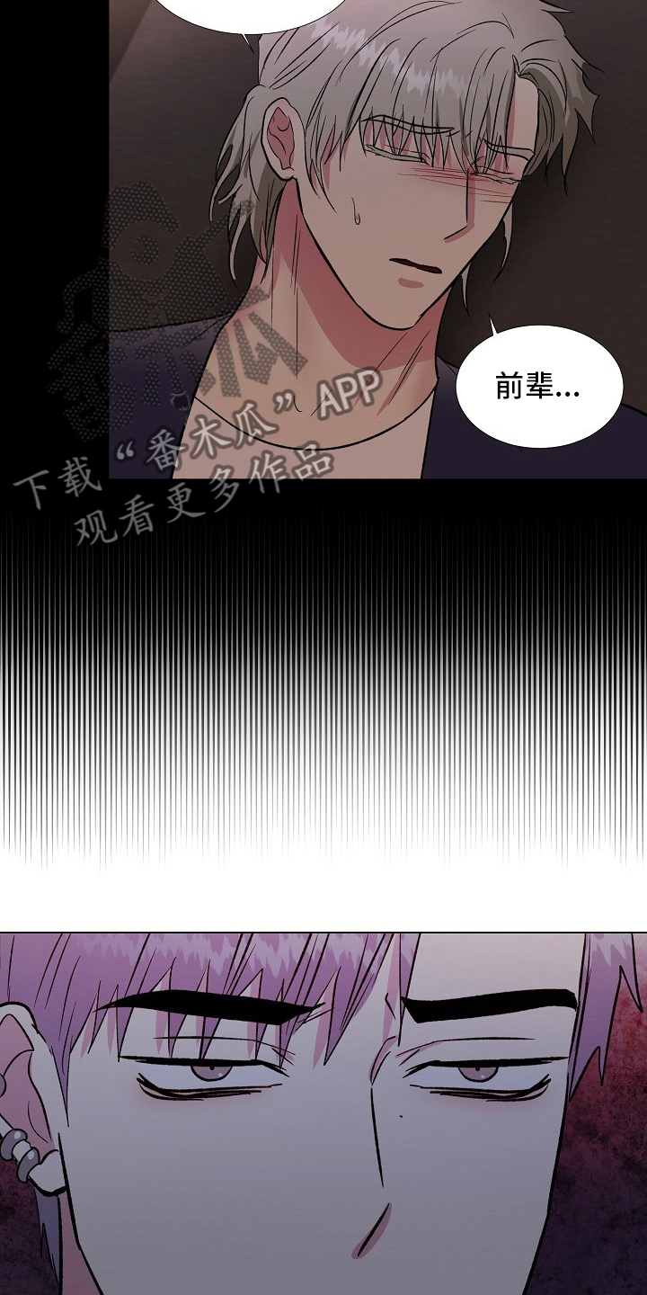 《爱的魔力》漫画最新章节第66章记挂免费下拉式在线观看章节第【5】张图片