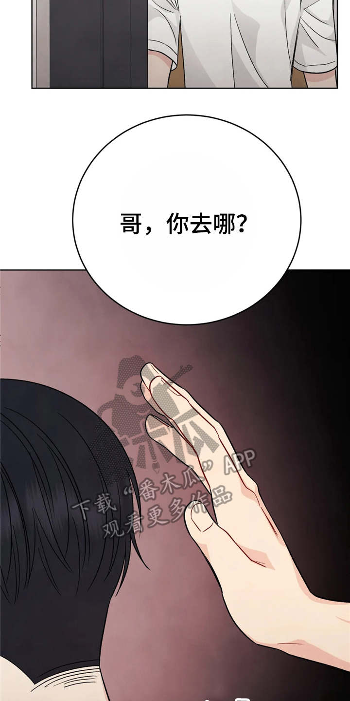 《安慰剂》漫画最新章节第6章说不出话（完结）免费下拉式在线观看章节第【5】张图片