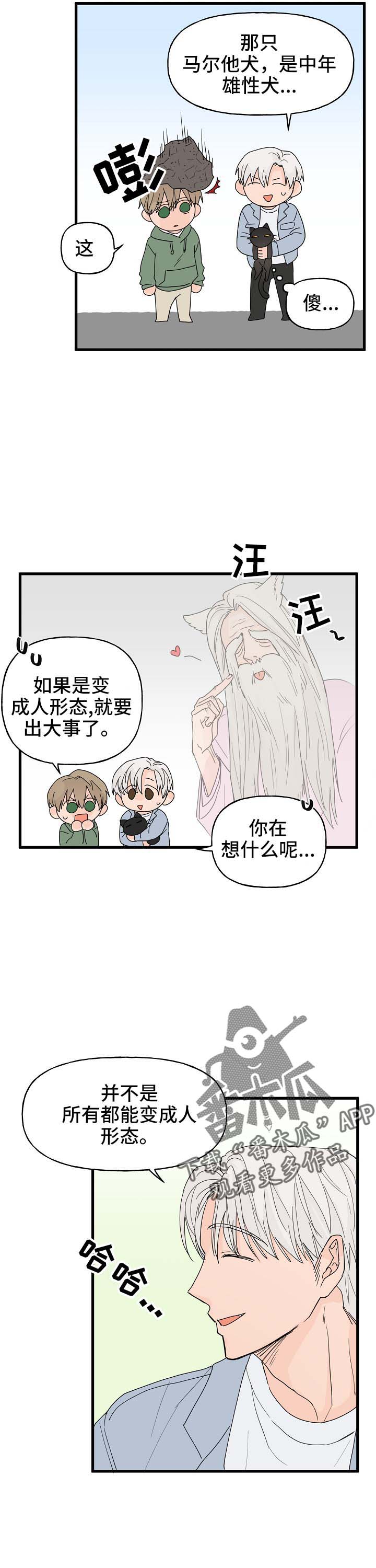 《幸运猫》漫画最新章节第15章打击免费下拉式在线观看章节第【2】张图片