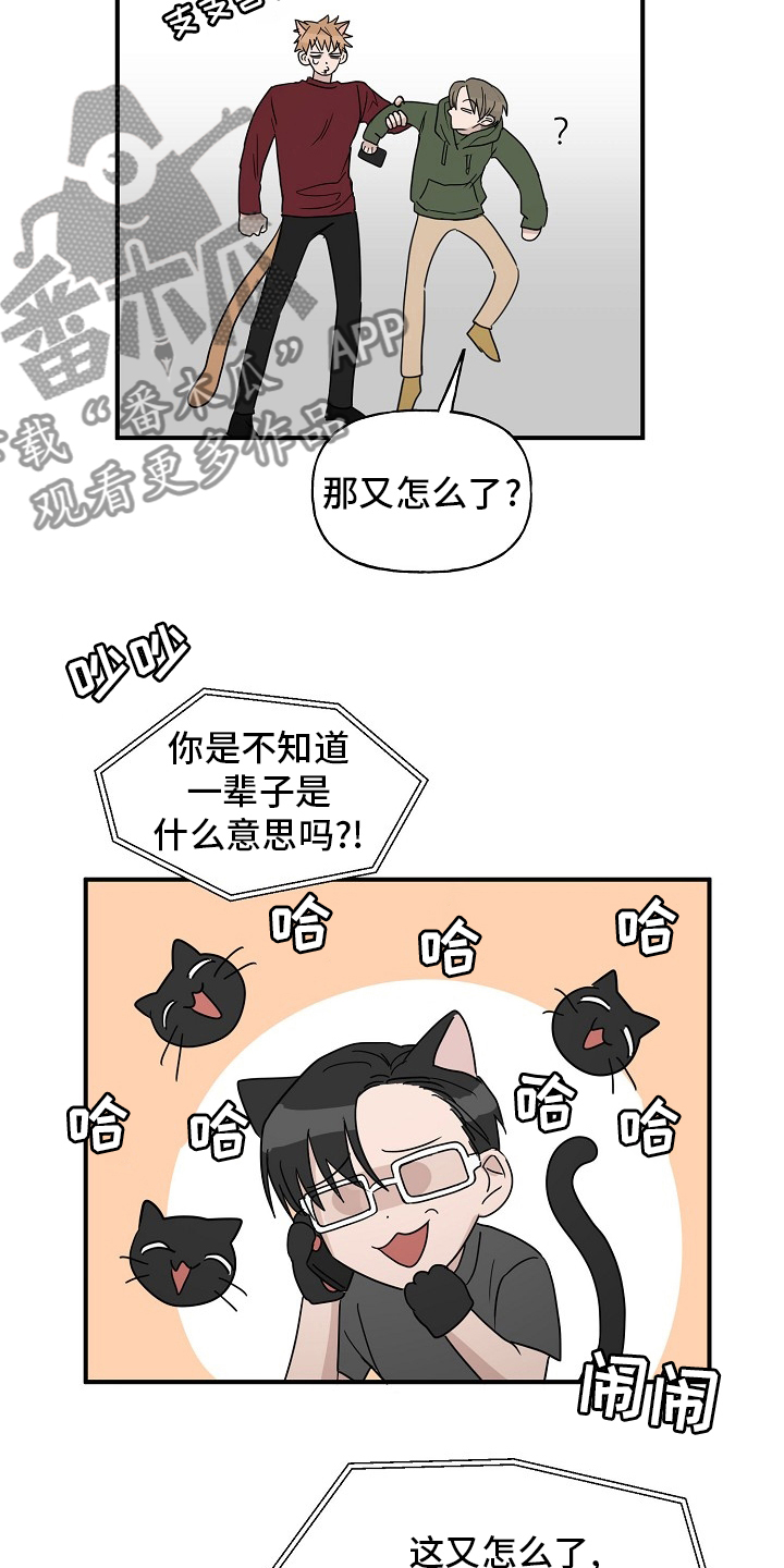 《幸运猫》漫画最新章节第43章【完结】跟我一起免费下拉式在线观看章节第【14】张图片