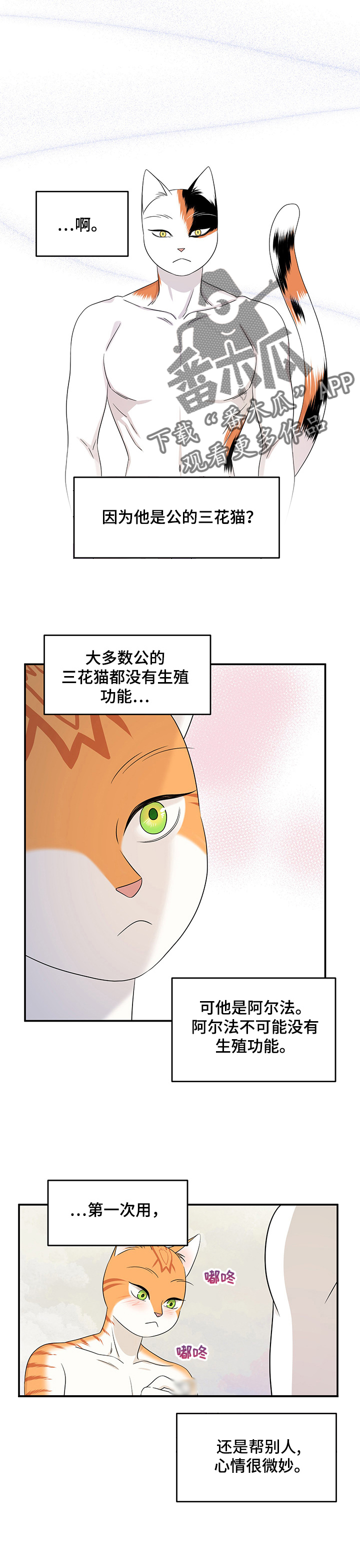 灵猫欧米伽-第13章教我全彩韩漫标签