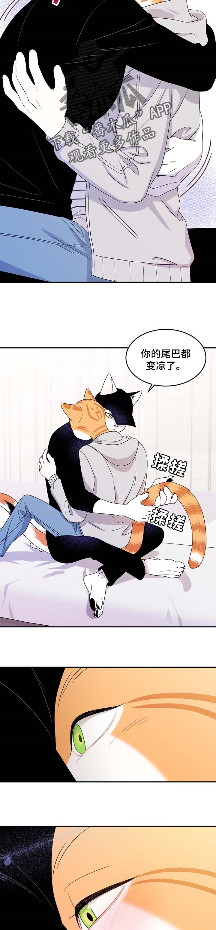 灵猫欧米伽-第21章安心全彩韩漫标签