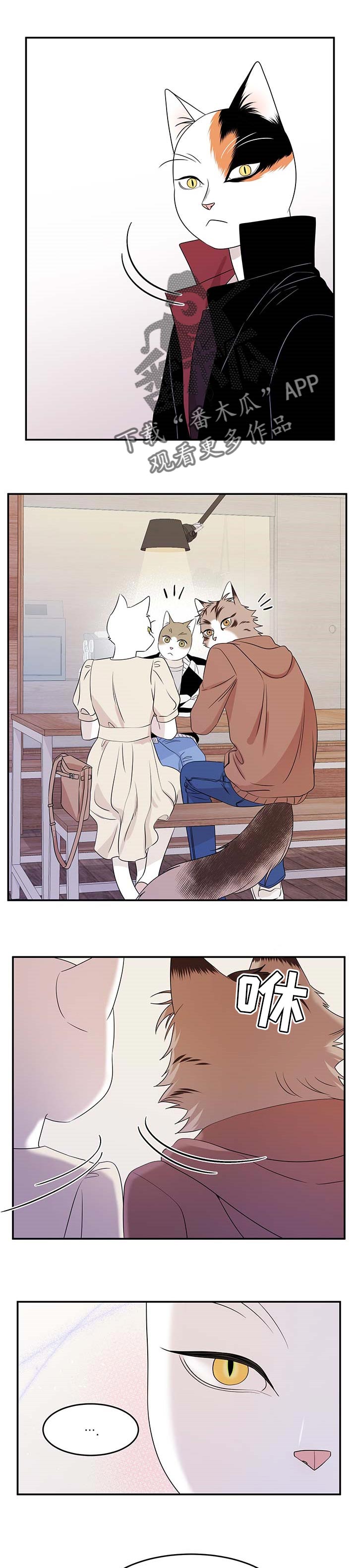 灵猫欧米伽-第24章可惜全彩韩漫标签