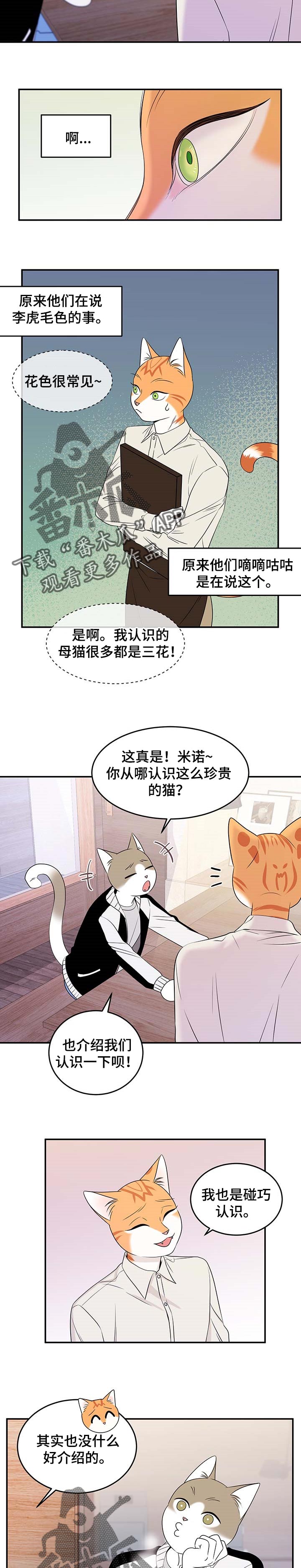 灵猫欧米伽-第25章珍贵全彩韩漫标签