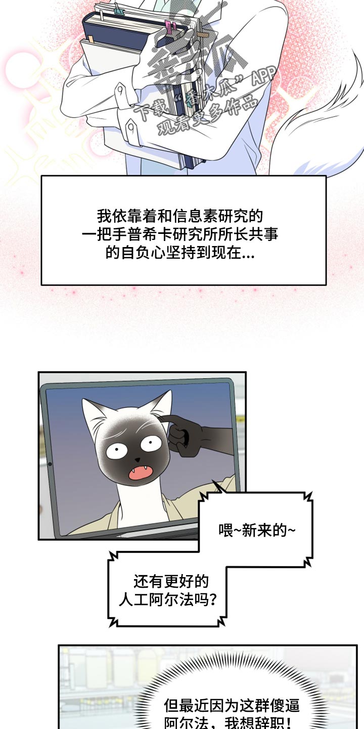 灵猫欧米伽-第57章【第二季】新来的全彩韩漫标签