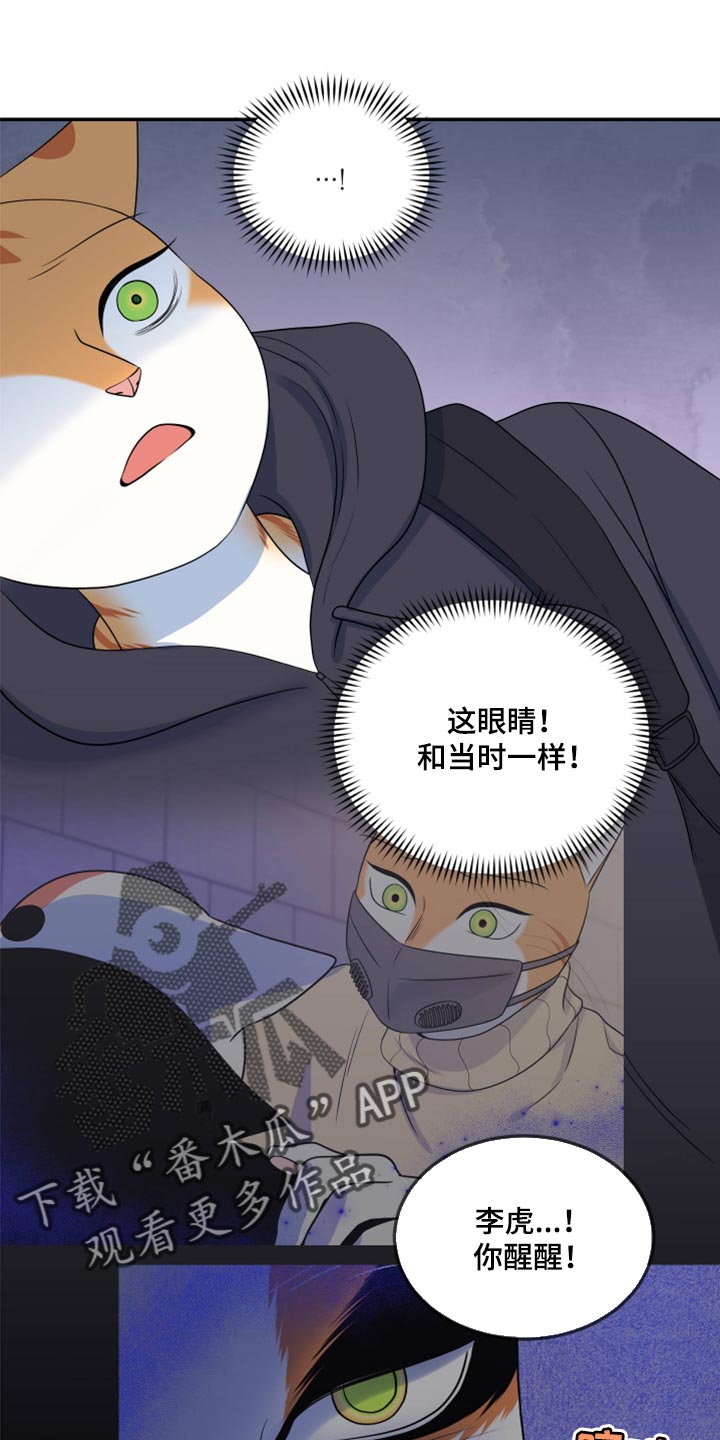 灵猫欧米伽-第61章【第二季】不想伤害他全彩韩漫标签