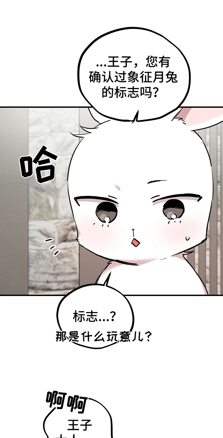 兔兔小媳妇-第10章特征全彩韩漫标签
