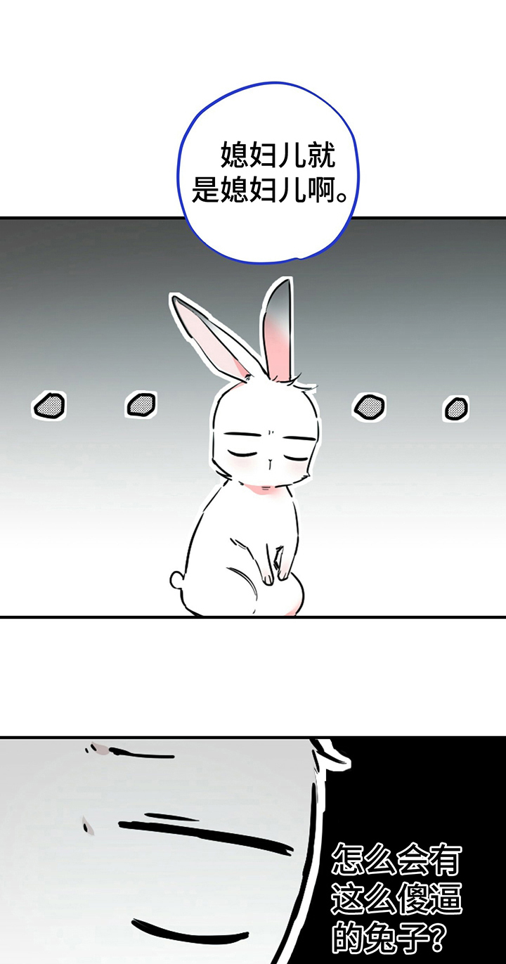 兔兔小媳妇-第6章鄙视全彩韩漫标签