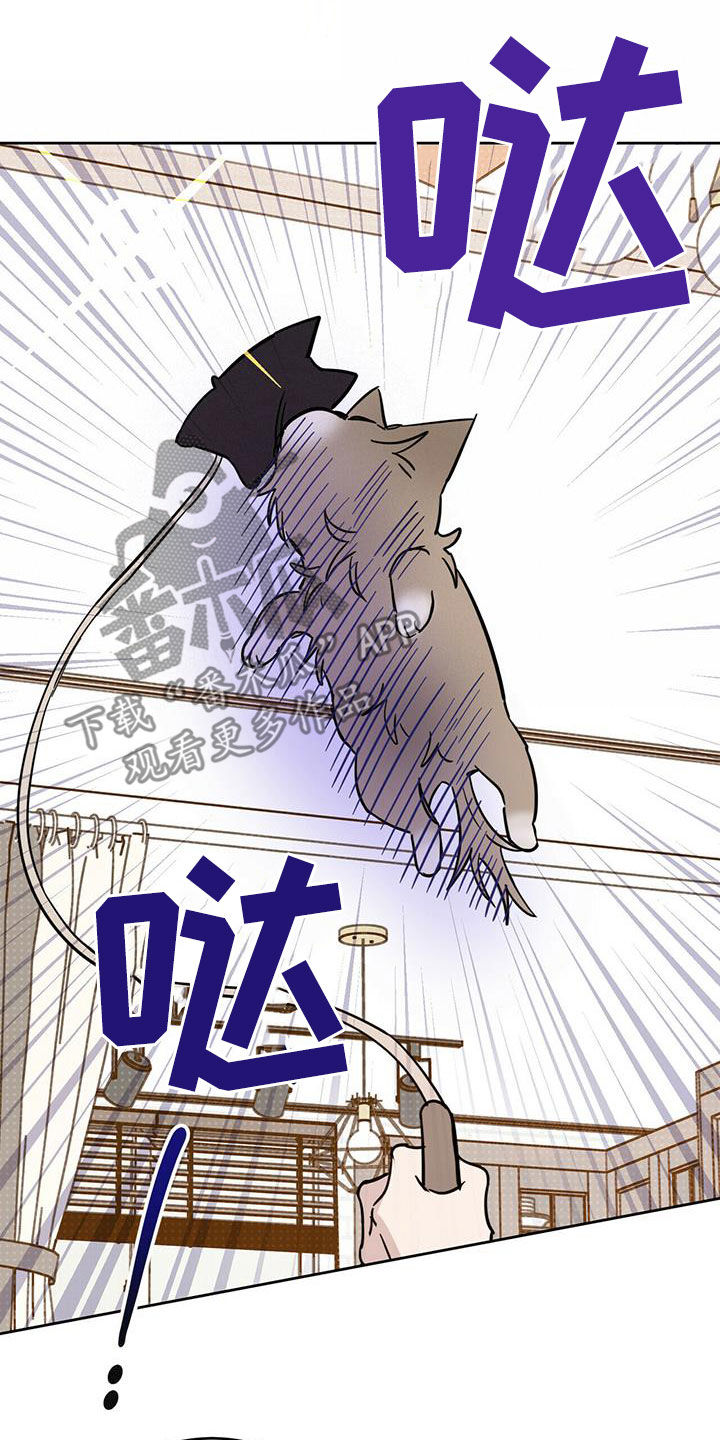 《恶魔快出来》漫画最新章节第38章胡说八道免费下拉式在线观看章节第【19】张图片