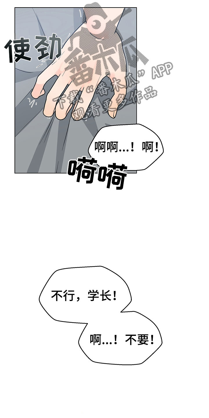 《裤裤股神》漫画最新章节第19章不是假的（完结）免费下拉式在线观看章节第【12】张图片