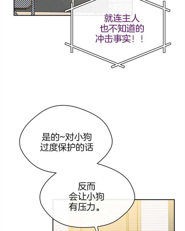 《魅魔之驯服小奶狗》漫画最新章节第11话_养狗狗教学免费下拉式在线观看章节第【8】张图片