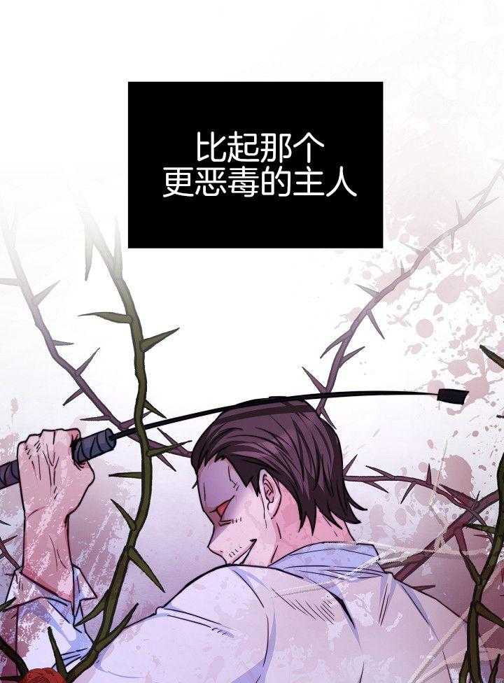 《穿书成了玛丽苏》漫画最新章节第3话_不要做养女免费下拉式在线观看章节第【17】张图片