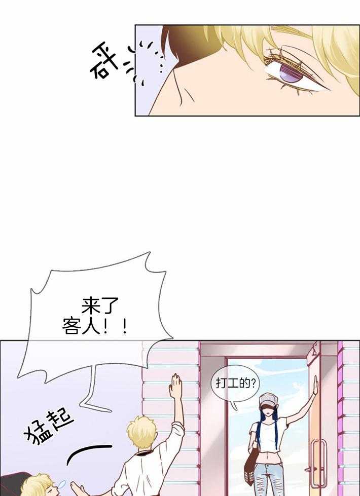 《Mr.毛》漫画最新章节第3话_头发的原谅免费下拉式在线观看章节第【3】张图片