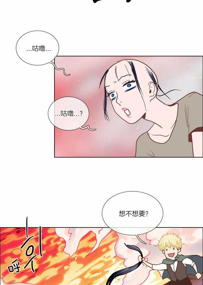 《Mr.毛》漫画最新章节第4话_秃头女的登场免费下拉式在线观看章节第【17】张图片