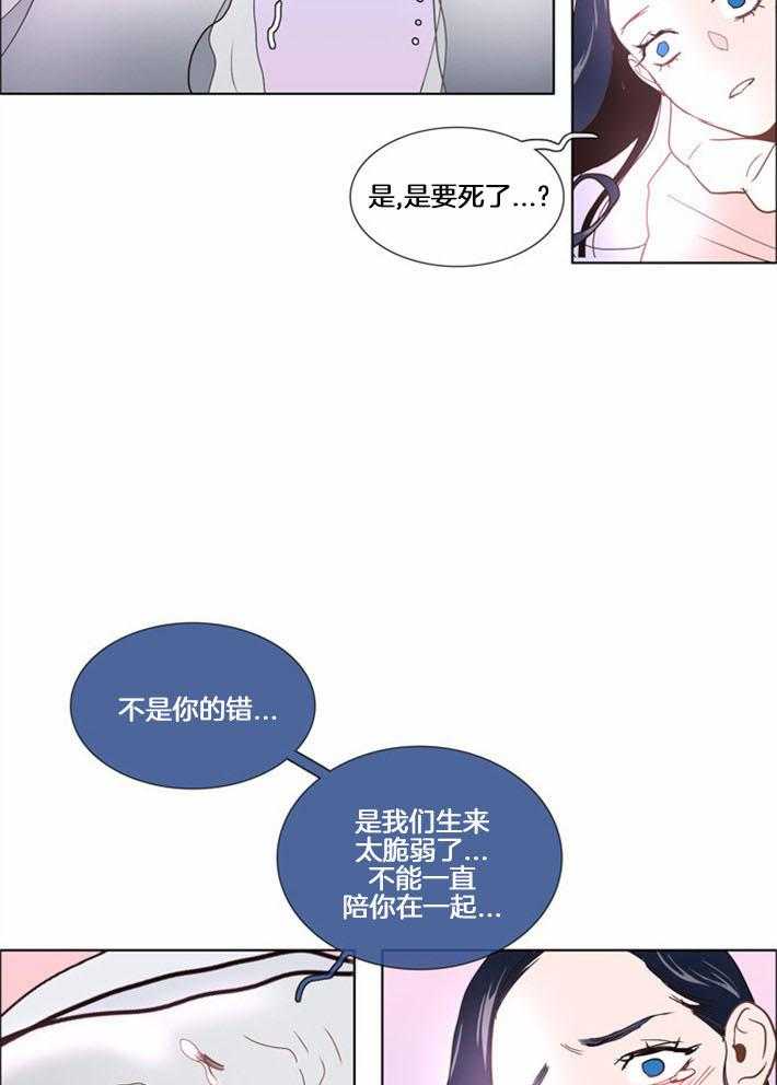 《Mr.毛》漫画最新章节第5话_老人家的反击免费下拉式在线观看章节第【3】张图片