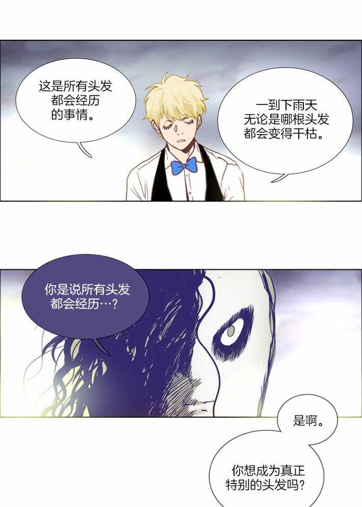 《Mr.毛》漫画最新章节第8话_头发坚决的心免费下拉式在线观看章节第【13】张图片