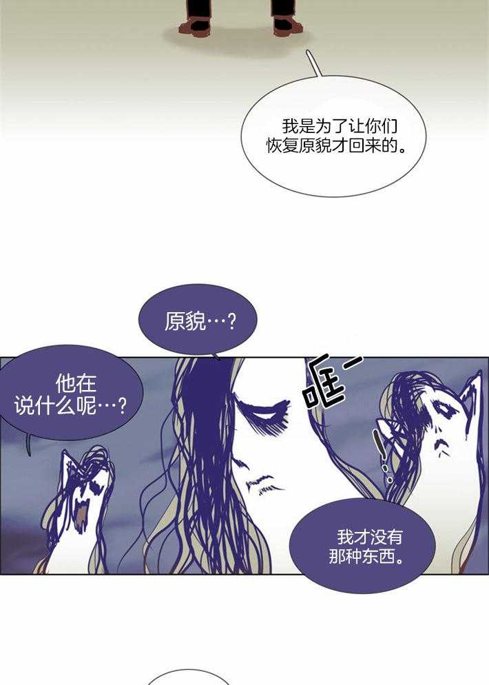 《Mr.毛》漫画最新章节第8话_头发坚决的心免费下拉式在线观看章节第【17】张图片