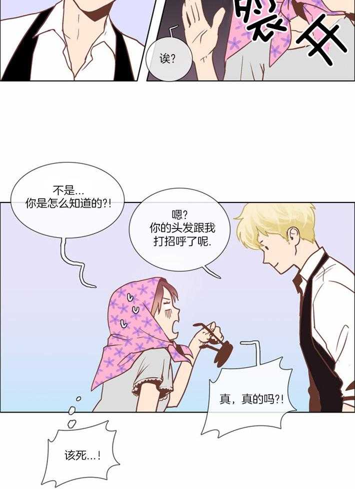 《Mr.毛》漫画最新章节第9话_另一段缘分免费下拉式在线观看章节第【16】张图片